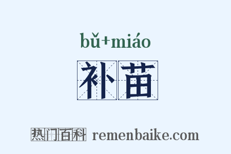 补苗是什么意思的图片